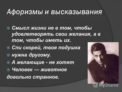 Том не жизни