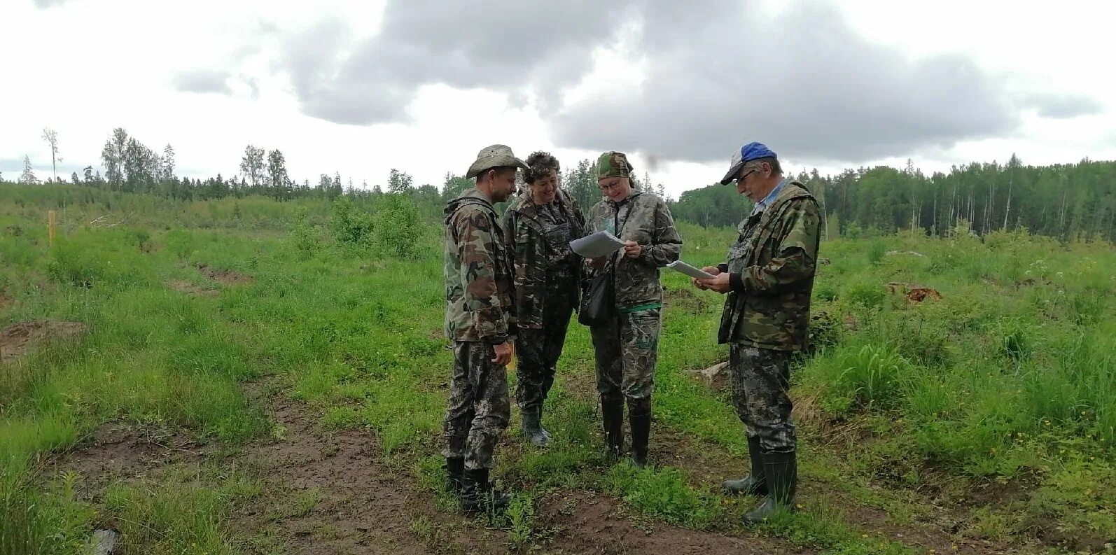 1024 лесовосстановление. ЦЗЛ Новгородской области. Инвентаризация фонда лесовосстановления. Сохранение лесных насаждений. Проведут инвентаризацию фонда лесовосстановления.