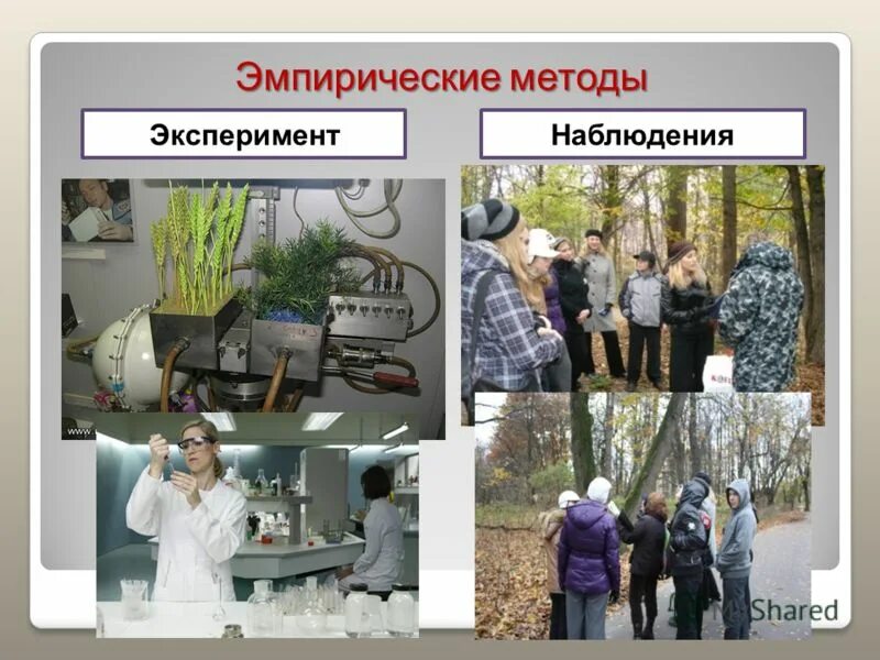 Метод изучения природных объектов в специально созданных. Метод изучения природных объектов в специально созданных
