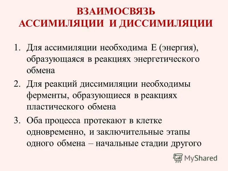 Пример процесса ассимиляции в организме человека