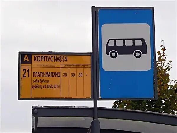 Расписание автобусов зеленоград 21 крюково малино. Автобус 1016 пятницкое шоссе. Расписание автобусов зеленоград 21 крюково малино. Крюково зеленоград на карте. Расписание автобусов зеленоград 21 крюково малино.
