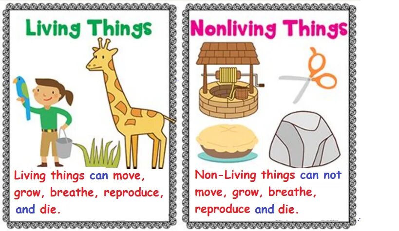 Living and non Living things. Living and non Living things Worksheet. Living non Living Worksheets. Living things around us презентация.