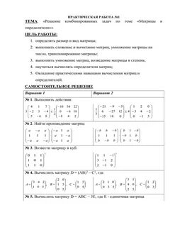 Контрольная работа матрицы и определители