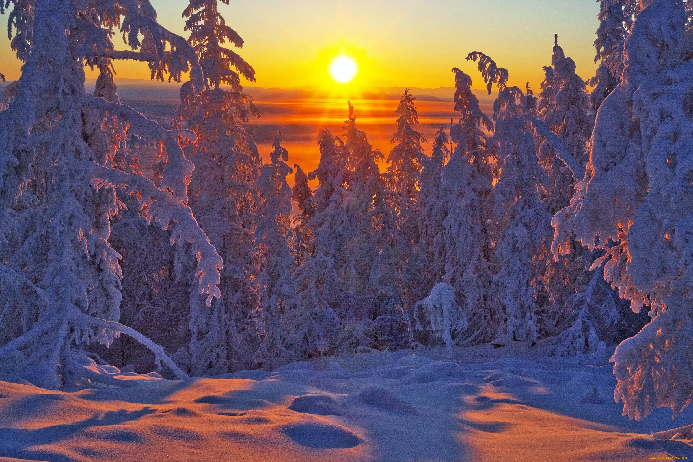 Рассвет зимой. Красивый зимний закат. Красивый зимний закат. Зимний рассвет. Зима закат.