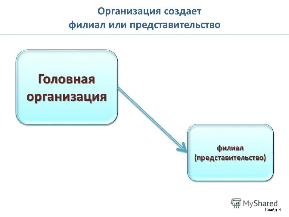 Филиал и главная организация. Головная организация это. Структура обособленного подразделения. Головная организация и обособленное подразделение. Структура обособленного подразделения ООО.