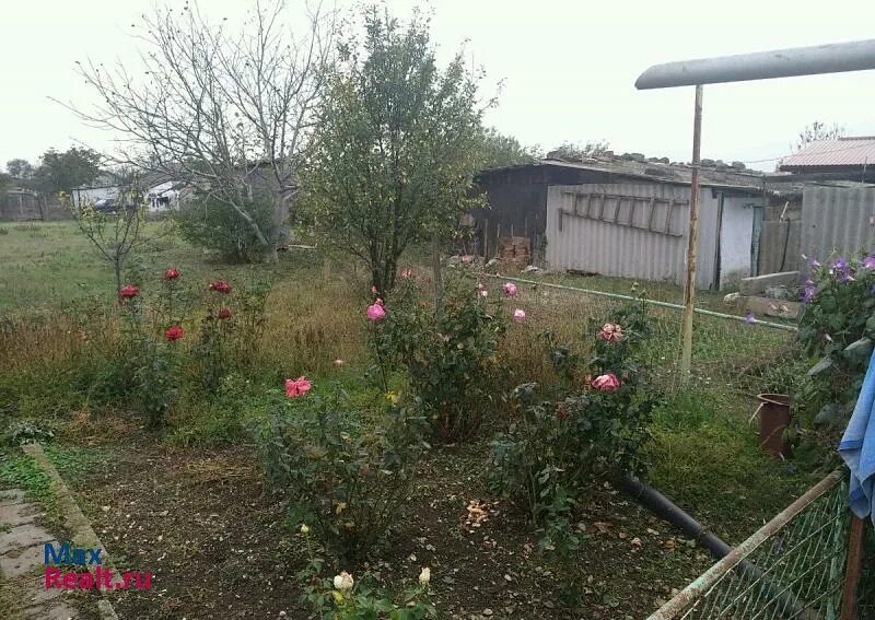 Краснодарский край брюховецкий район станица новоджерелиевская. Хутор свободный краснодарский край приморско ахтарск. Крым ленинский район батальное степная. Авито приморско. Приморско ахтарск октябрьская 34.