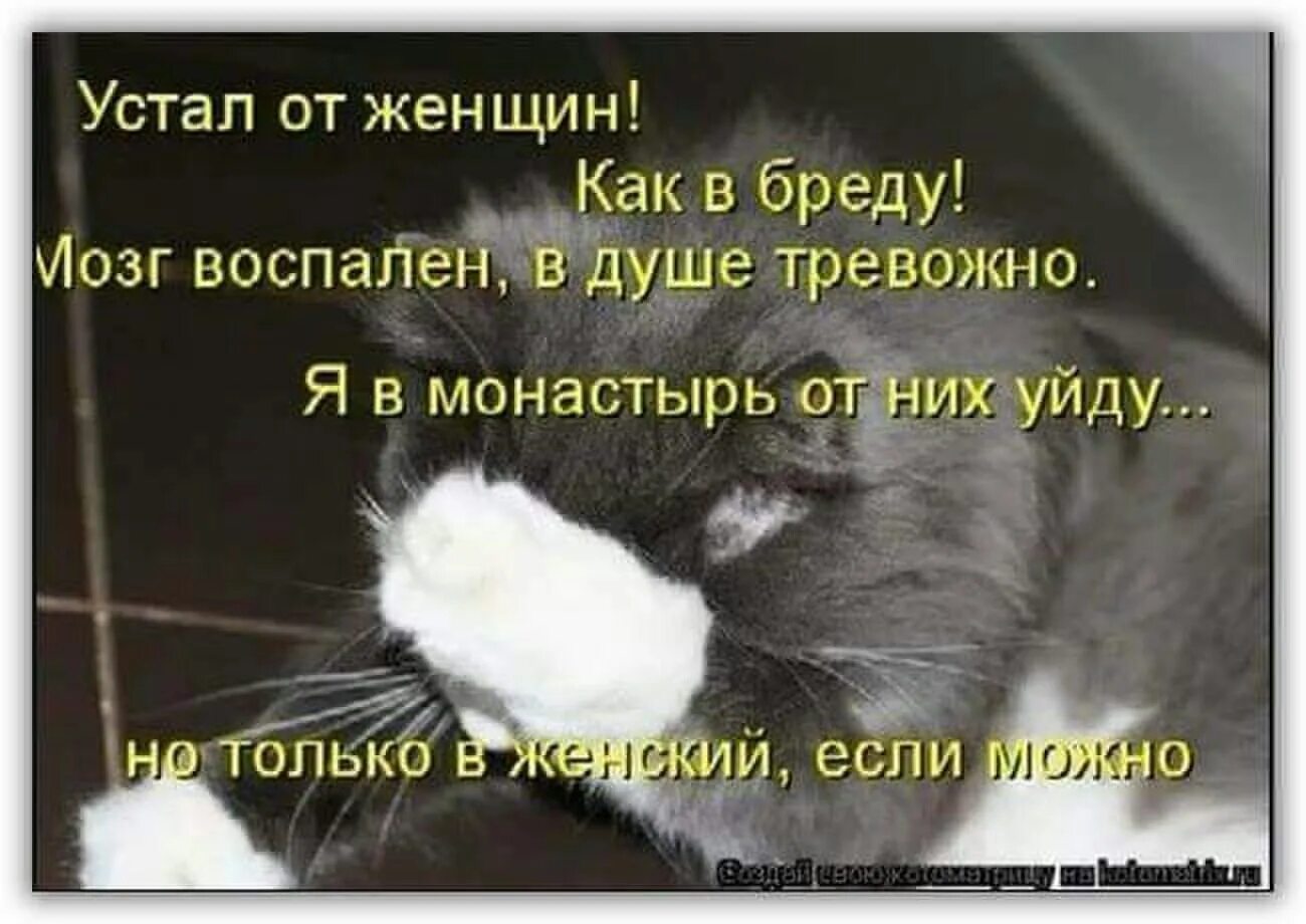 Устал 6 букв. Ухожу в монастырь. Уйти в монастырь женский. Я ухожу в монастырь. Уйду в монастырь приколы.