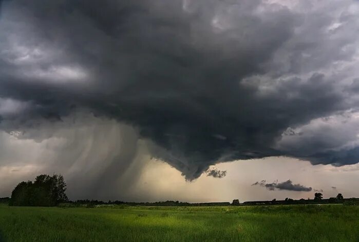 пасмурный пейзаж. туча идет. поле перед грозой. дождевые облака. дождливые тучи.