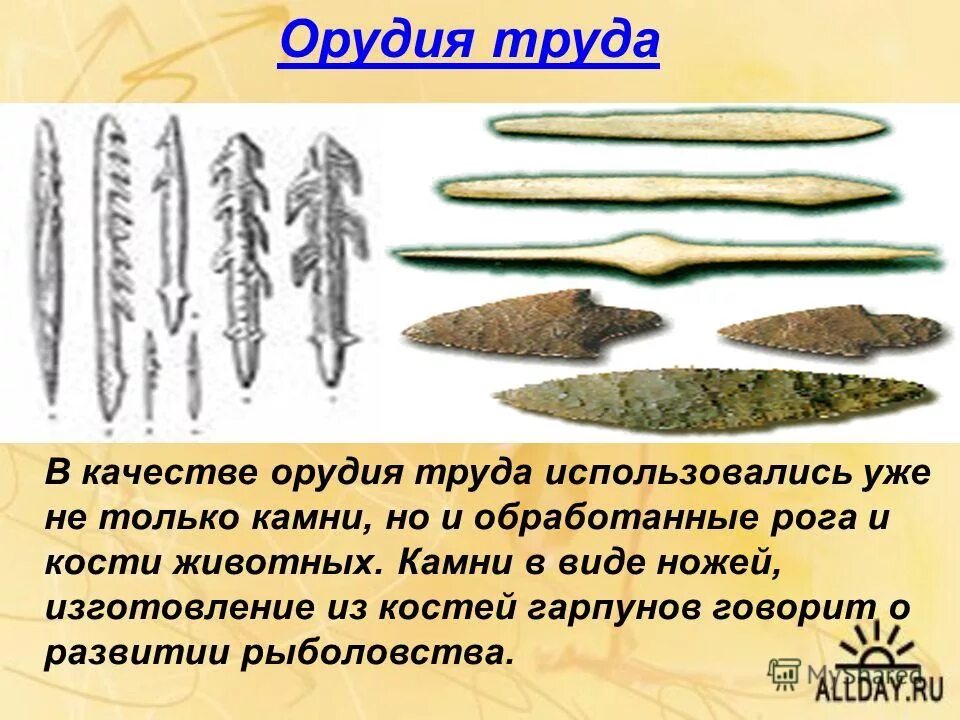 Палка орудие труда. Орудия труда человека. Древние орудия труда. Использование орудий труда у животных. Капуцин обезьяна.