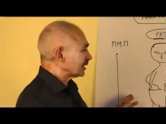 Вася точка