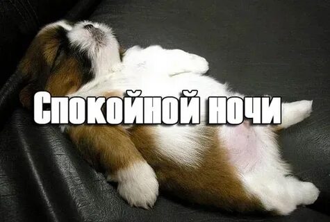 Споки ночи юмор