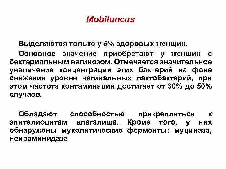 Основное значение. Основное значение
