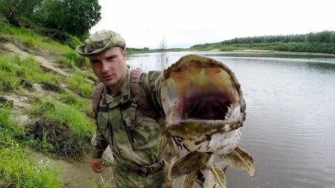 Рыбалка на печоре