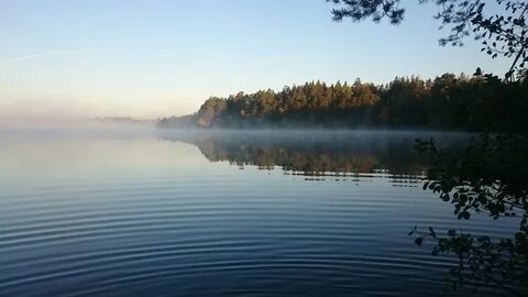 Озеро светлое нижегородская область