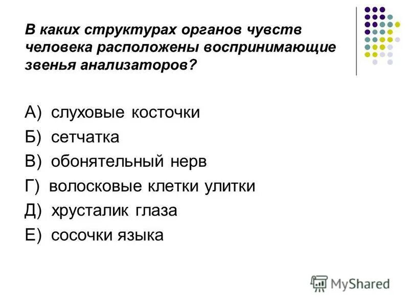 Тест по биологии органы чувств анализаторы