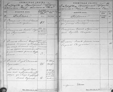 Первая перепись ревизия 1719 года охватывала