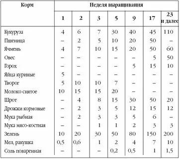 С какого возраста можно давать индюшатам творог. С какого возраста можно давать индюшатам творог