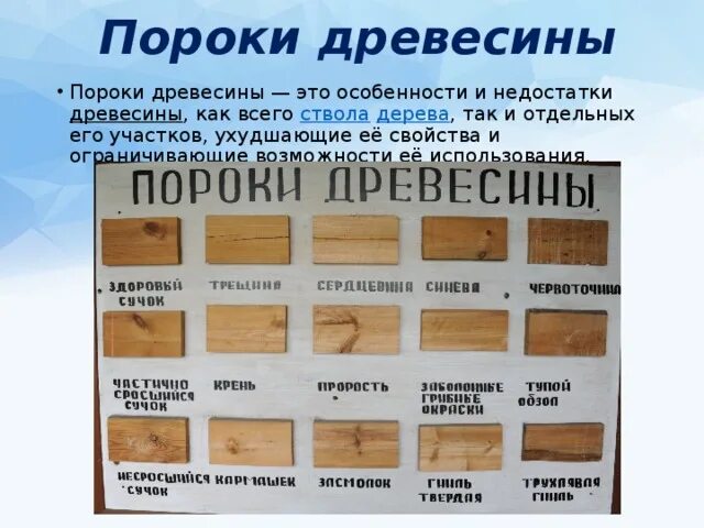 Виды пороков древесины и их примеры Елена Костина Персональный сайт учителя технологии и ИЗО, классный руководитель 9б класса, педагога до.. 2024 ВКонтакте