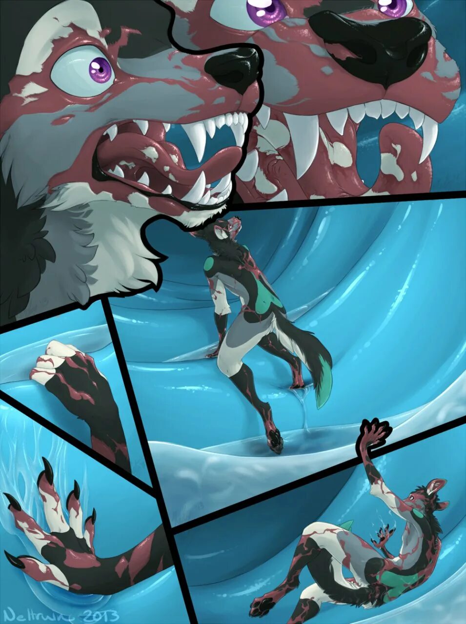 Shark rule 34