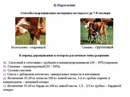 Системы содержания животных