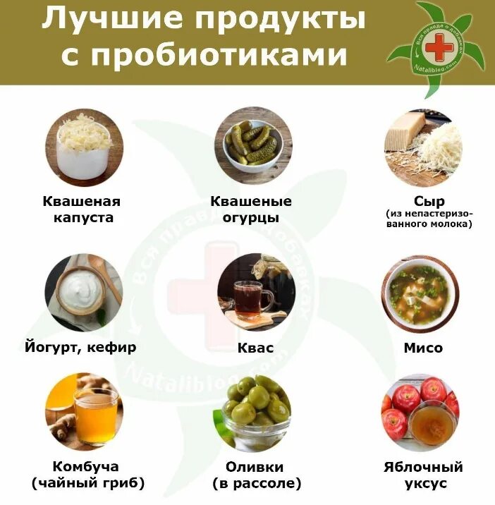 Что будет если пить пробиотики. Пробиотики продукты. пробиотики в продуктах питания. продукты с пробиотиками. продукты с полезными бактериями.