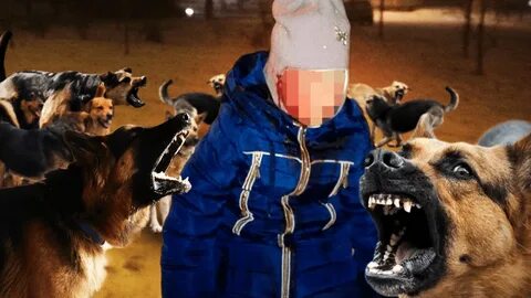 Хотим атаковать