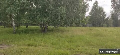 Земельный участок южный