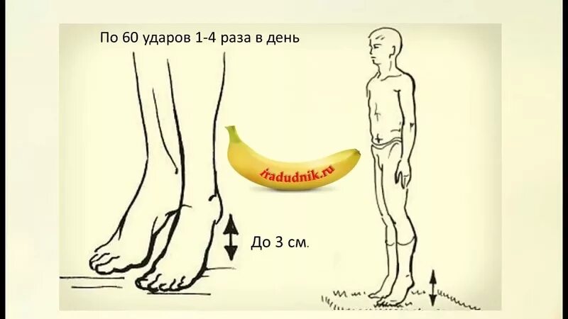 Как разогнать лимфу и избавиться от отеков. Упражнения для лимфы. упражнения для разгона лимфы. упражнения разгоняющие лимфу. упражнения для разгона лимфы в ногах.