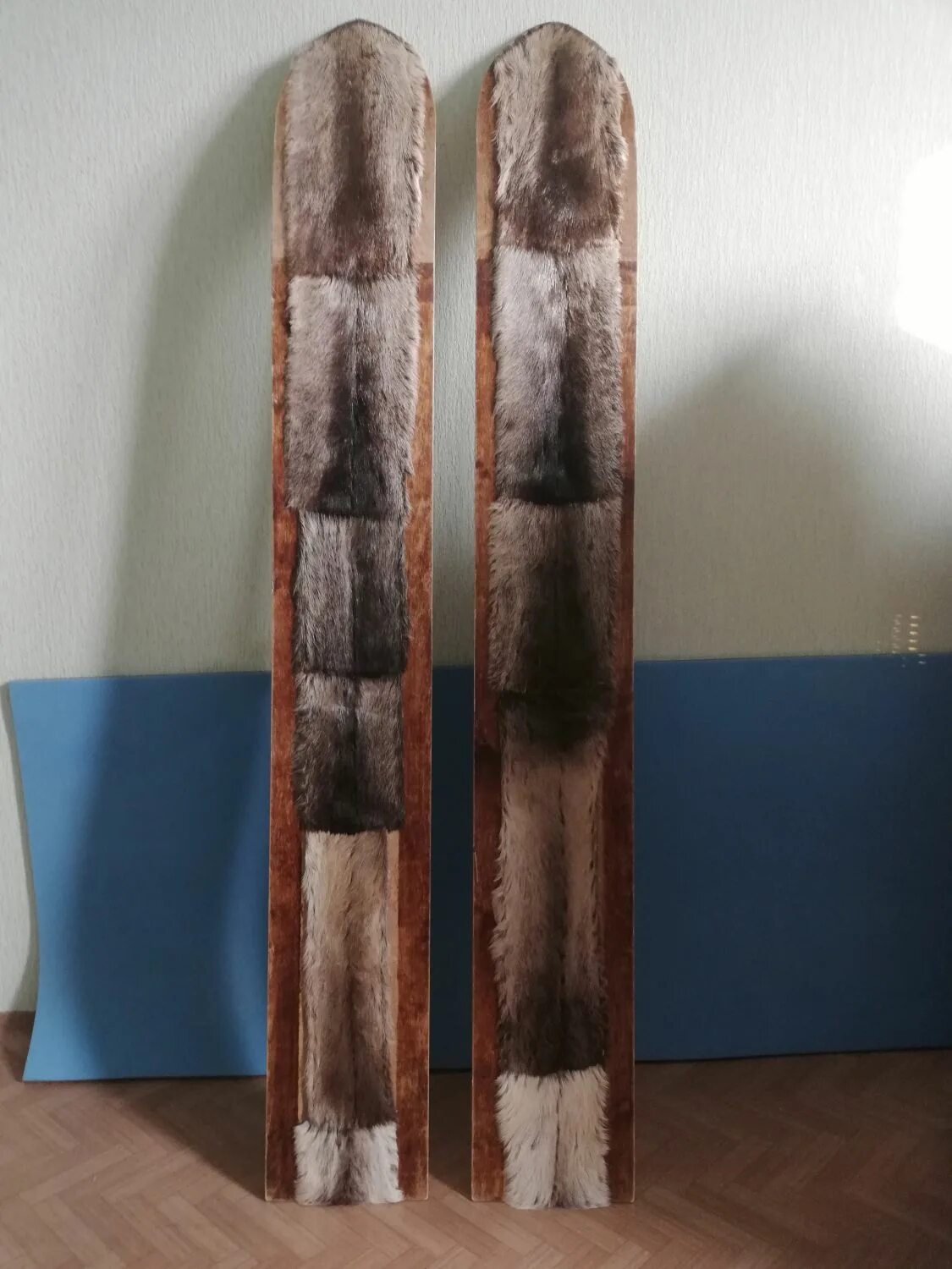 Лыжи охотничьи с камусом купить. Лыжи "Таежные" 160см, шир.200 мм (камус узкий). Камус для лыж. Охотничьи лыжи с камусом. Камус для туристических лыж.