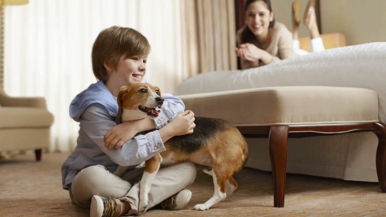 Having pets at home. Петс френдли. Отель для питомцев. Отели дог френдли. Отель ПЭТ френдли.