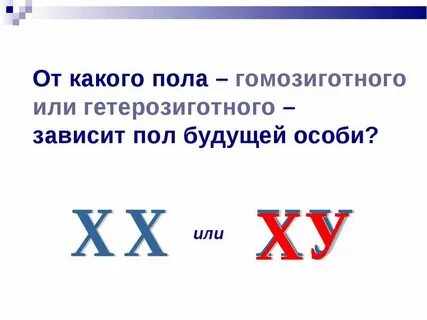 Какого пола том