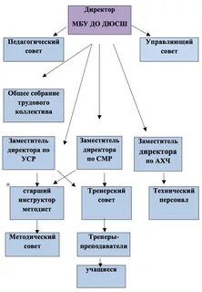 Организация спортивной школы