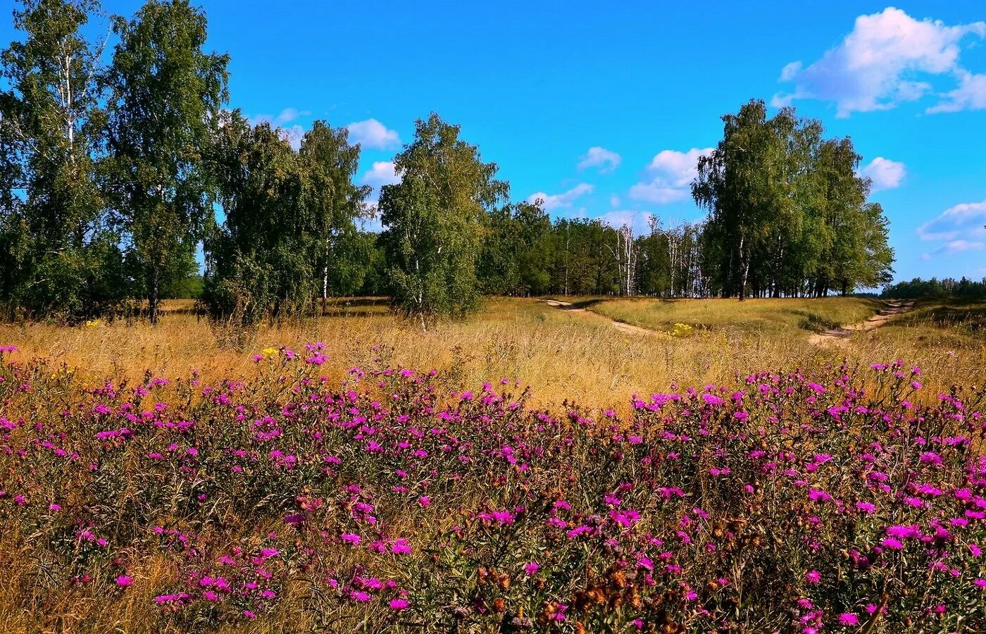 Село просторе. Что такое Приволье и Раздолье. Приволье Пензенская область. Природа России Раздолье. Раздолье в природе.