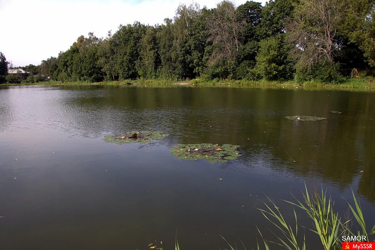 салтыковка пруд