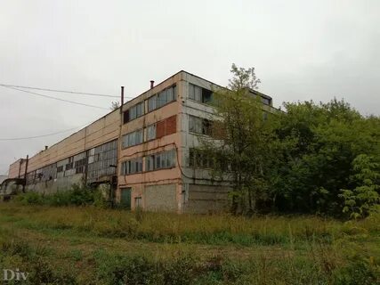Дхз кинешма
