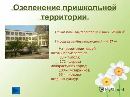 Работа территория школы