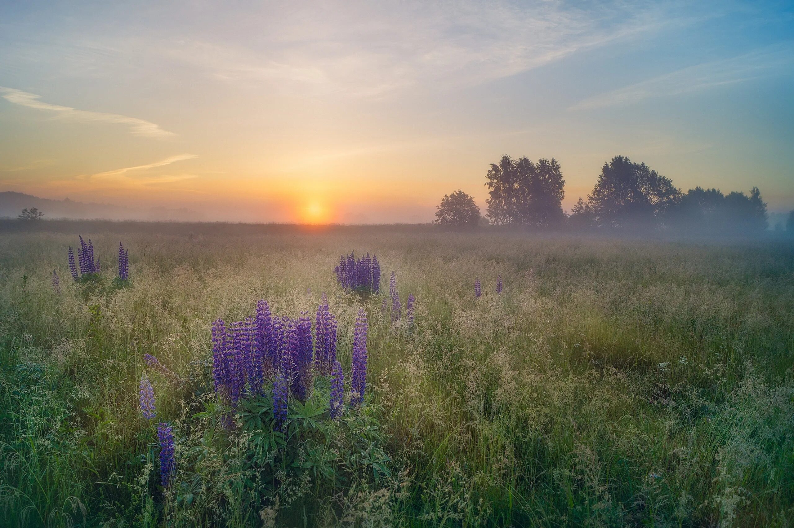 Летний пейзаж. Лето рассвет. Природа рассвет. Раннее летнее утро. Лето было поздним