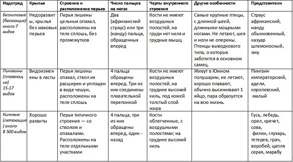 Признаки отрядов птиц таблица. Таблица признаки и особенности птицы. Характеристика основных отрядов птиц. Общая характеристика птиц таблица.