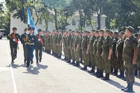 25 ноября день миротворца