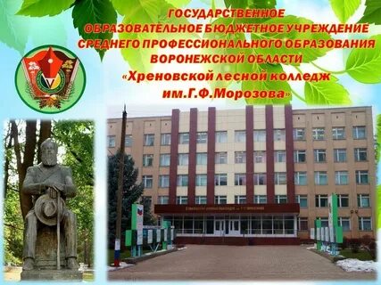 Техникум г лесной