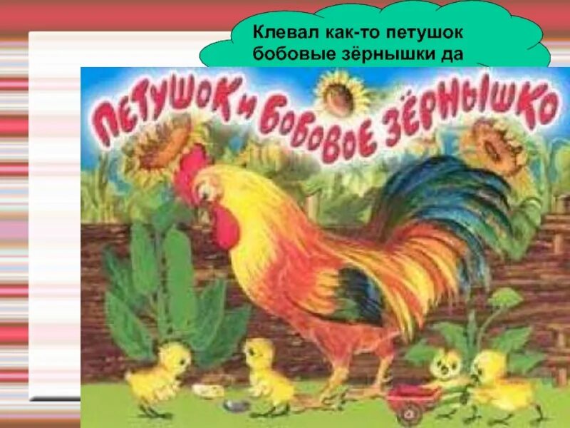 Петух и зернышко. Бобовое зернышко русская народная сказка. Петушок и бобовое зернышко. Петушок и бобовое зернышко сказка. Зернышки для петушка.