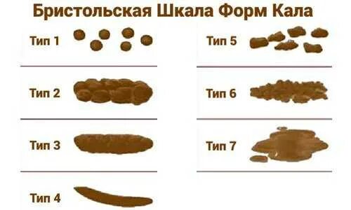 Почему какашки