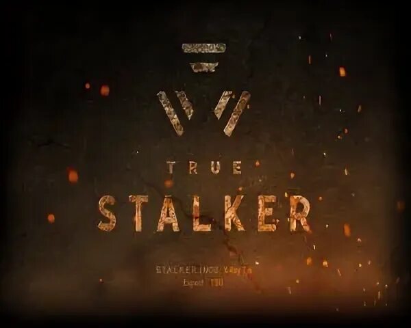 Светильник и радио true stalker. Светильник и радио true stalker