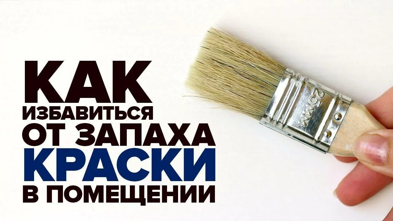 Как избавиться от запаха дома быстро