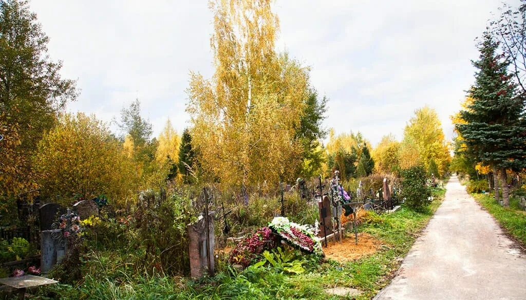Новое домодедовское кладбище адрес. Городское кладбище домодедово. заборьевское кладбище домодедово. колычевское кладбище домодедово. домодедовское московское кладбище.