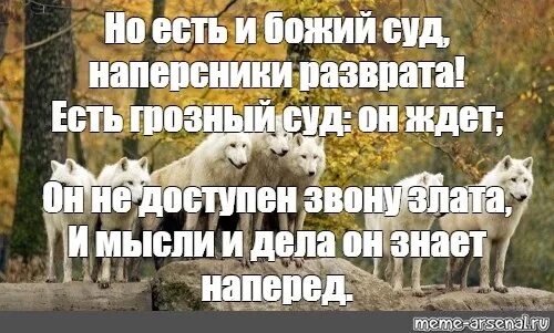 Не только доступнее но. Не только доступнее но