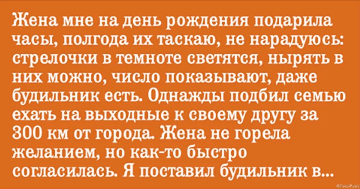 жена устроила. женщина завязывает галстук. жена оно. мудрая жена устроит дом. жена устроила.
