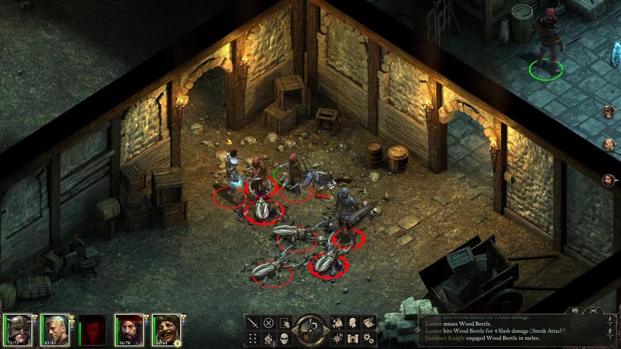 Pillars of Eternity игра. Pillars of Eternity 1. Pillars of Eternity 3. Пилларс оф Этернити.