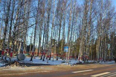 Дорога жизни экскурсия