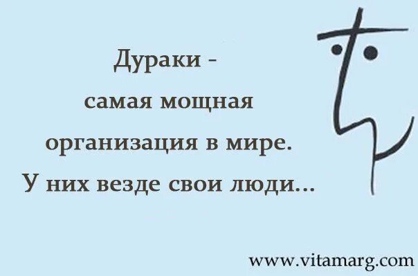 В смысле глупая. Фразы про дураков. Высказывания о дураках. Афоризмы про дураков. Мудрые высказывания про дураков.